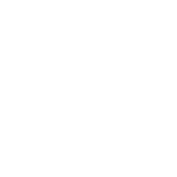 Damage